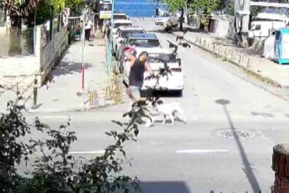 Sarıyer’de başıboş köpekler vatandaşları tedirgin ediyor