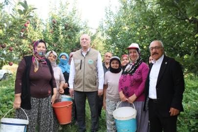 Şemsi Bayraktar’dan Çivril’de elma hasadı yaptı