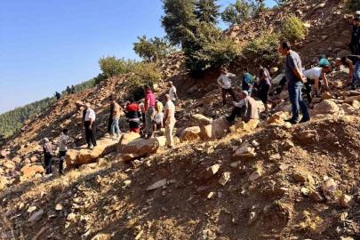 Sepetli motosiklet uçurumdan uçtu: 3 yaralı