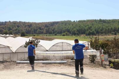 Seydikemer’de yangının yaraları bir günde sarılmaya başlandı