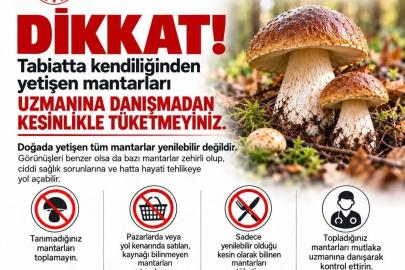 Sinop’ta mantar toplayıcılarına uyarı