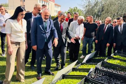 Şırnak’ta üreticilere 152 bin sebze fidesi ve çoban çantası dağıtıldı