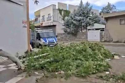 Siverek’te etkili olan fırtına, tarlada çalışan işçilere zor anlar yaşattı