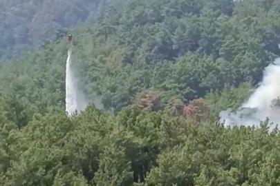 Soğutma çalışmalarının sürdüğü ormanlık alanda yeniden yangın çıktı