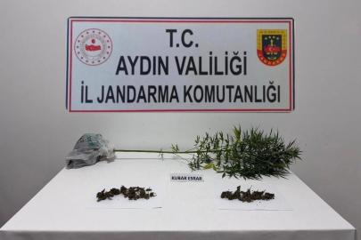 Söke’de narkotik köpeği destekli operasyonda uyuşturucu madde ele geçirildi