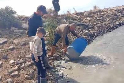 Sulama kanallarında mahsur kalan balıklar kurtarıldı