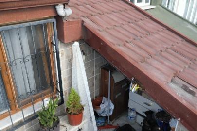 Sultangazi’de çatı katını arılar bastı: Arıların soktuğu kadın hastanelik oldu