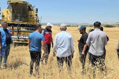 TAKEP kapsamında yüzde 75 hibe ile mercimek tohumuna müracaatlar başladı