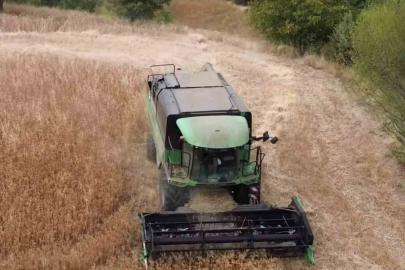 Tavşanlı’da aspir hasadı devam ediyor
