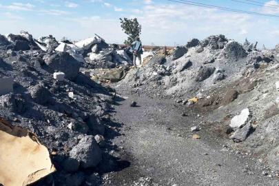 Tekirdağ’da çevre katliamı büyüyor