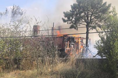 Tekirdağ’da korkutan yangın itfaiye ekipleri ve çiftçiyi harekete geçirdi