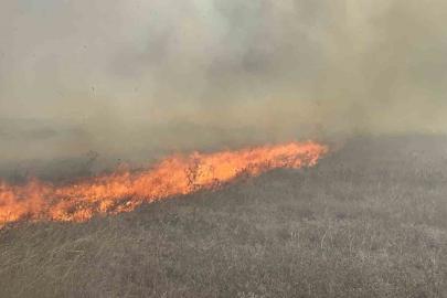 Tekirdağ’da mera yangını