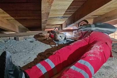 Telef olan eşinin başından ayrılmayan baykuş kurtarıldı