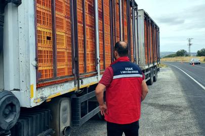 Uşak’ta hayvan hastalıklarına karşı yol kontrol ve denetimler aralıksız devam ediyor