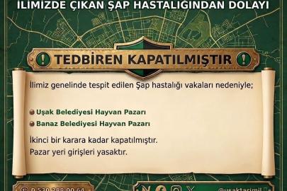 Uşak’ta hayvan pazarları şap hastalığı nedeniyle kapatıldı