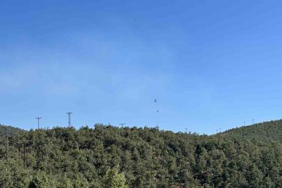 Uşak’ta meşelik alanda çıkan yangın kontrol altına alındı