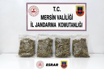 Uyuşturucu taciri 2 kilo 100 gram esrarla yakalandı