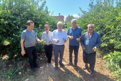 Yüreğir’de dolu afeti: Yaklaşık 35 bin dönüm tarım alanı zarar gördü