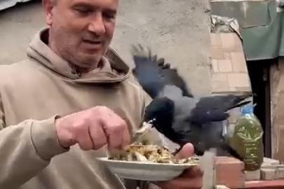 4 yıldır beslediği kargasına elleriyle balık yedirdi