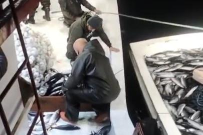 5 bin palamut tekneye sığmadı, yardıma başka tekne geldi