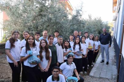 Adana’da öğrenciler 1. sınıfta diktikleri zeytinlerin 8. sınıfta hasadını yaptılar