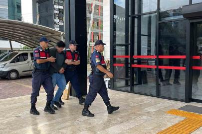 Alanya’da kuşlara vahşet uygulayan şüpheli tutuklandı