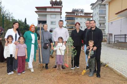 Alanya’da minik eller zeytin fidanlarını toprakla buluşturdu