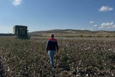 Aliağa’da beyaz altın hasadı başladı