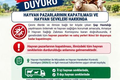 Amasya’da şap hastalığı tedbiri: Hayvan pazarları kapatıldı