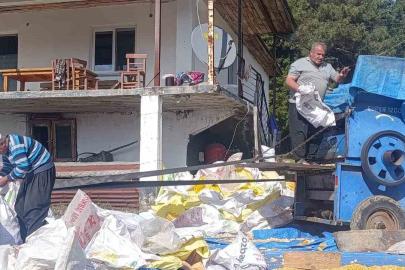Andırın’da yerli mısır hasadı, Patosta çekilen mahsul güneşte kurutuluyor
