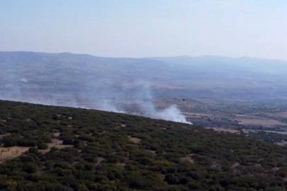Ankara’da ormanlık alanda çıkan yangın kontrol altına alındı