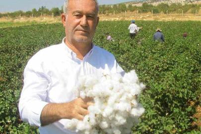 Araban ÇUKOBİRLİK 2026-2027 yılı pamuk alım fiyatlarını açıkladı