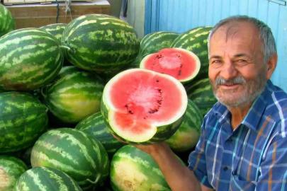 Araban Ovası’nda ikinci ürün güz karpuzu hasadı devam ediyor
