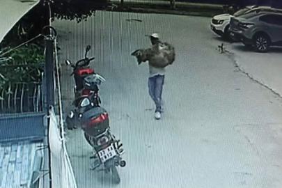 Araçla ezilen köpek kurtarılamadı
