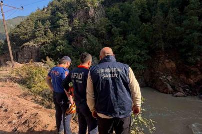 Artvin’de araç dereye düştü: 1 yaralı