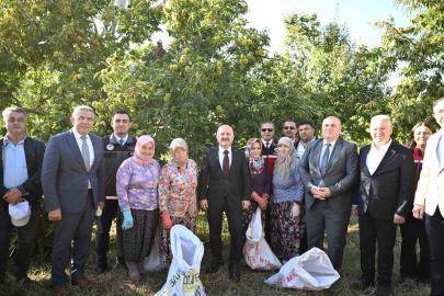 Aydın’da 5 bin 629 kestane üreticisi hasat heyecanı yaşıyor