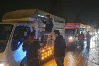 Aydın’da hayvan pazarlarında sıkı denetim