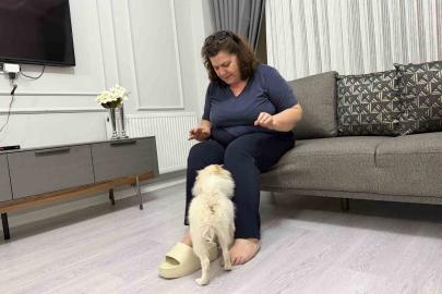 Aydın’dan alınan köpek Mardinli ailenin kabusu oldu