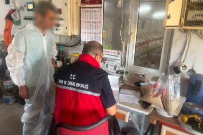 Balıkesir’de yem fabrikaları ve kanatlı işletmeleri denetlendi