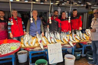 Bandırma’da palamut bereketi, vatandaş kasa kasa balık alıyor