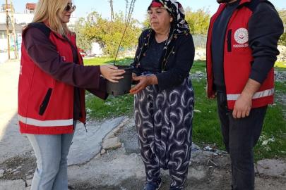 Besni’de yaşlılara fidan dağıtıldı