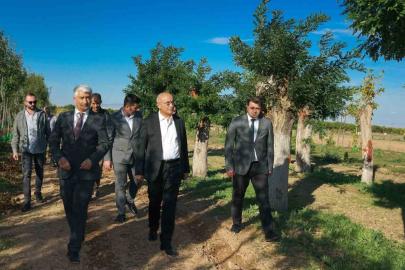 Büyükşehir’den yılda 20 bin fidan ve 50 bin metrekare rulo çim üretimi