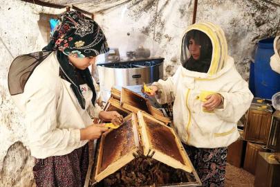 Çam balının başkenti Muğla’da glikozlu bal tepkisi