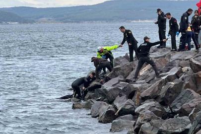 Çanakkale’de denizde erkek cesedi bulundu