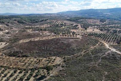 Çanakkale’de yanan ormanlar küllerinden doğuyor