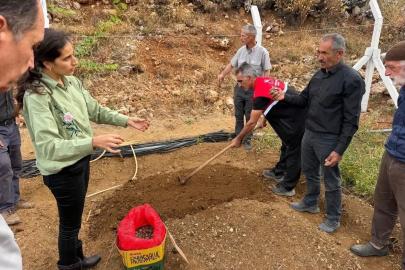 Çelikhan’da 10 üreticiye 90 kilogram salep yumrusu dağıtıldı