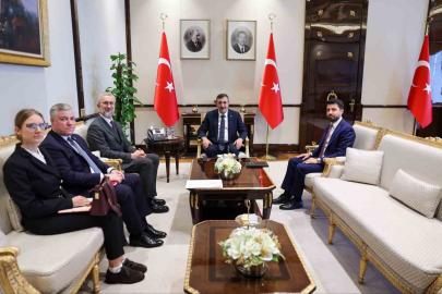 Cumhurbaşkanı Yardımcısı Yılmaz, Ukrayna’nın Ankara Büyükelçisi Neriman Celal ile bir araya geldi
