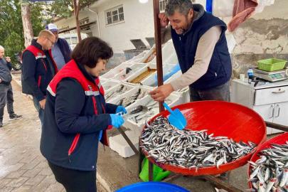 Dazkırı’da balık satış noktalarına denetim