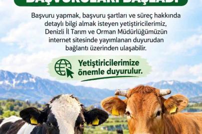 Denizli’de 2027 yılı besilik sığır ithalatı başvuruları başladı