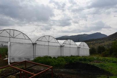 Devletten aldıkları yüzde 50 hibe ile ailelerin kurduğu seralar gelir kaynakları oldu
